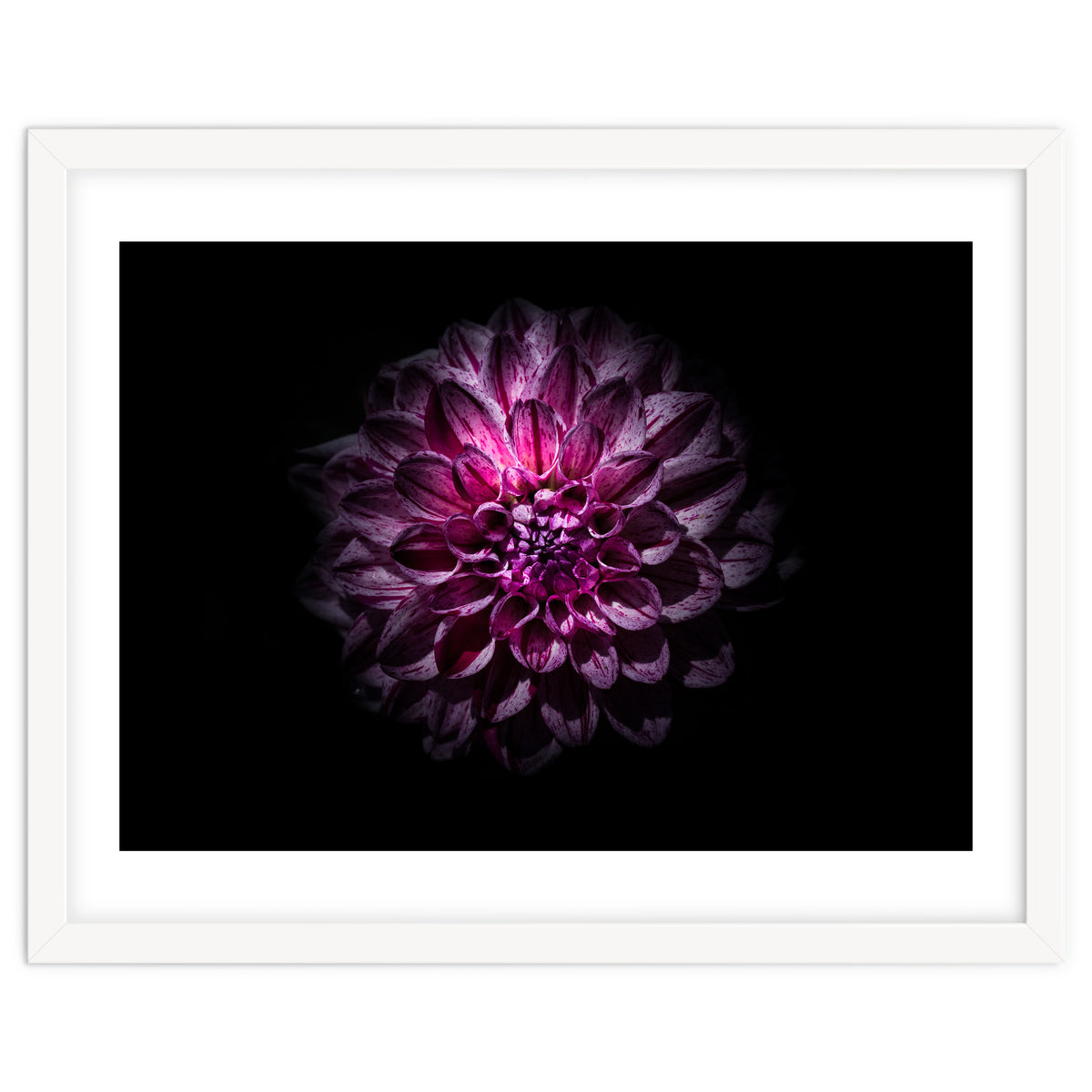 Backyard Flowers No 57 Color Version