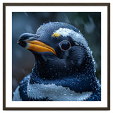Macro view of a Penguin with Water Droplets thumbnail