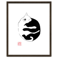 Ying yang Cat