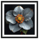 Hellebore | Silver Magic thumbnail