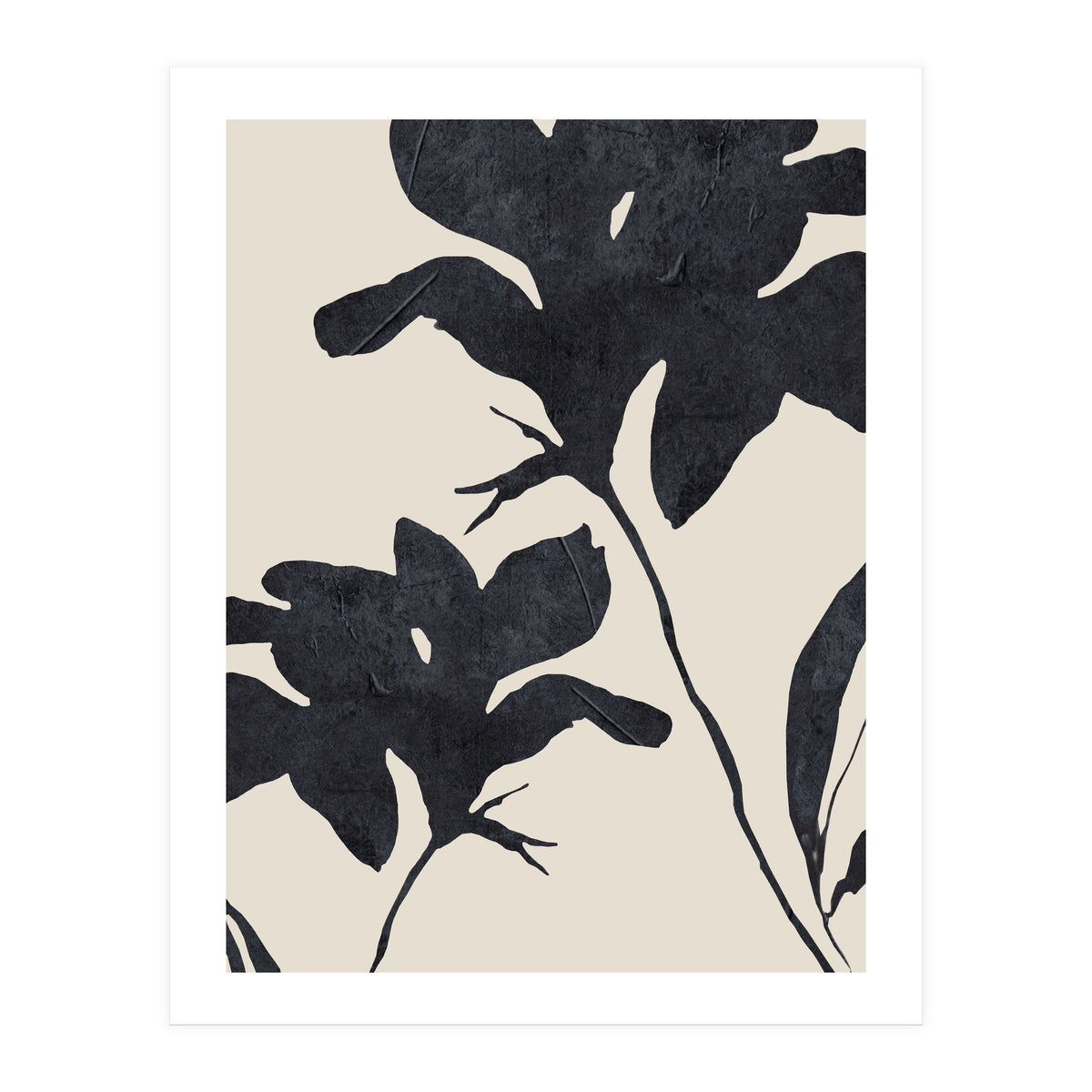 Shadowed Blooms (Print Only)