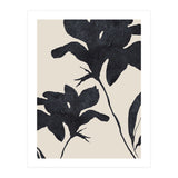 Shadowed Blooms (Print Only) thumbnail