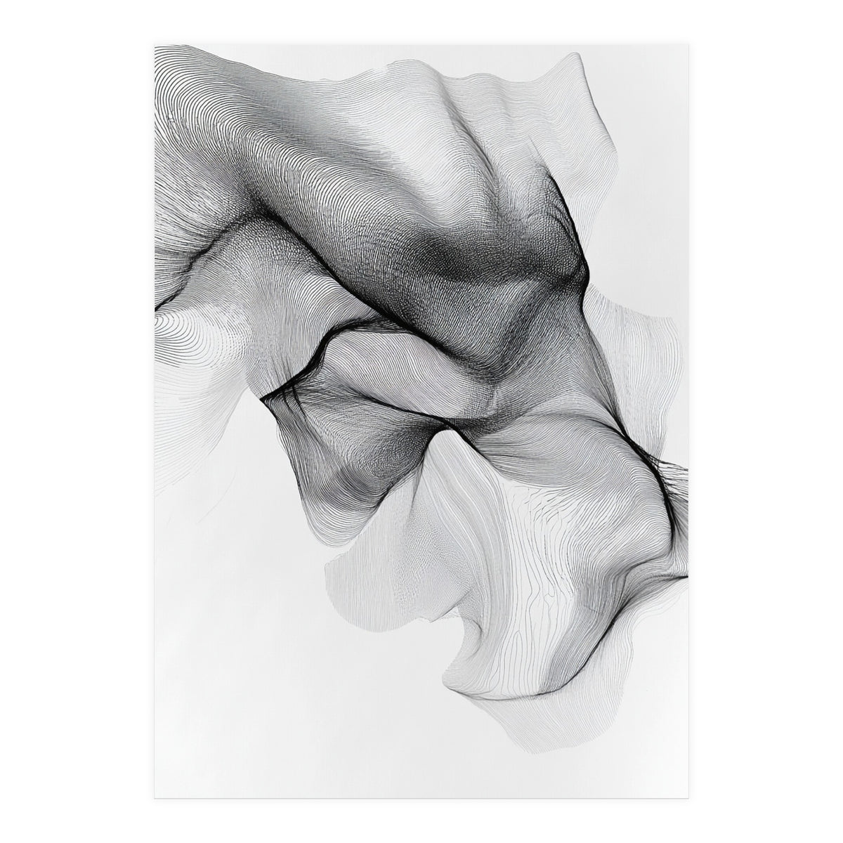 Abstract Black And White Flowing Lines Forming Organic Shapes And Forms (Print Only)