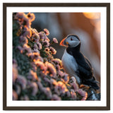 Puffin Bird On Rocks Near Pink Flowers At Sunset thumbnail