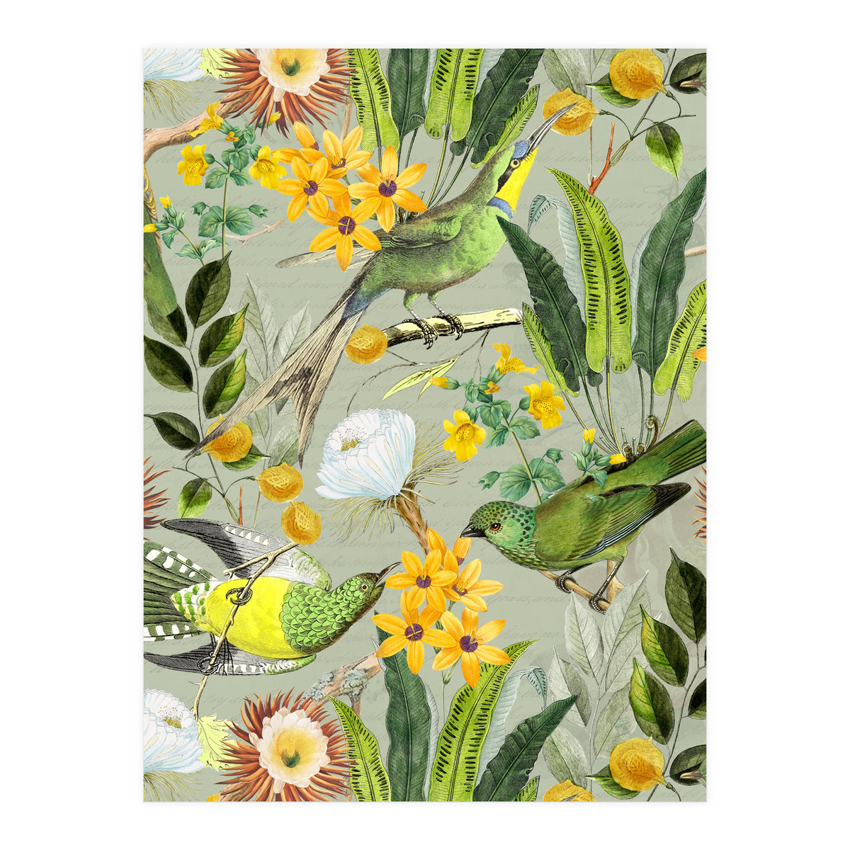 Tropical Birds in Exotic Jungle (Print Only)