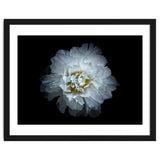 Backyard Flowers No 90 Color Version thumbnail