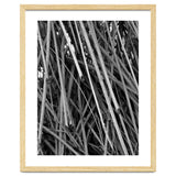 Black Tectorius Plant Shoots Art thumbnail