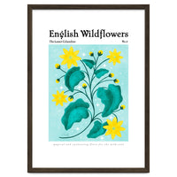 English Wildflowers | Lesser Celandine