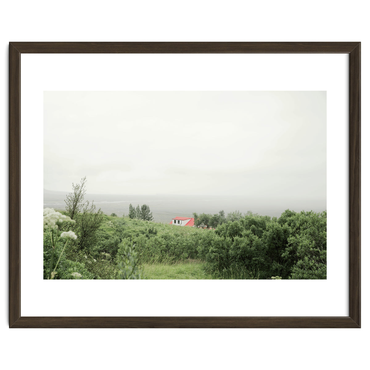 Red Roof house in between the summer green field - Iceland