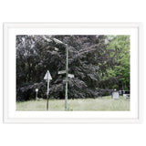 Signs at the corner of the street thumbnail