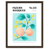 Magical Flowers No.23 Apricot Blossom thumbnail