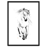 Runninh Ghorse In Water thumbnail