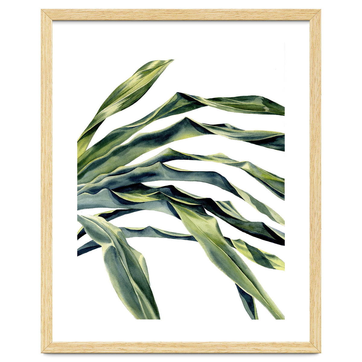 Green Palm Leaves