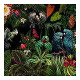 Moody Botanical Midnight Jungle Birds (Print Only) thumbnail