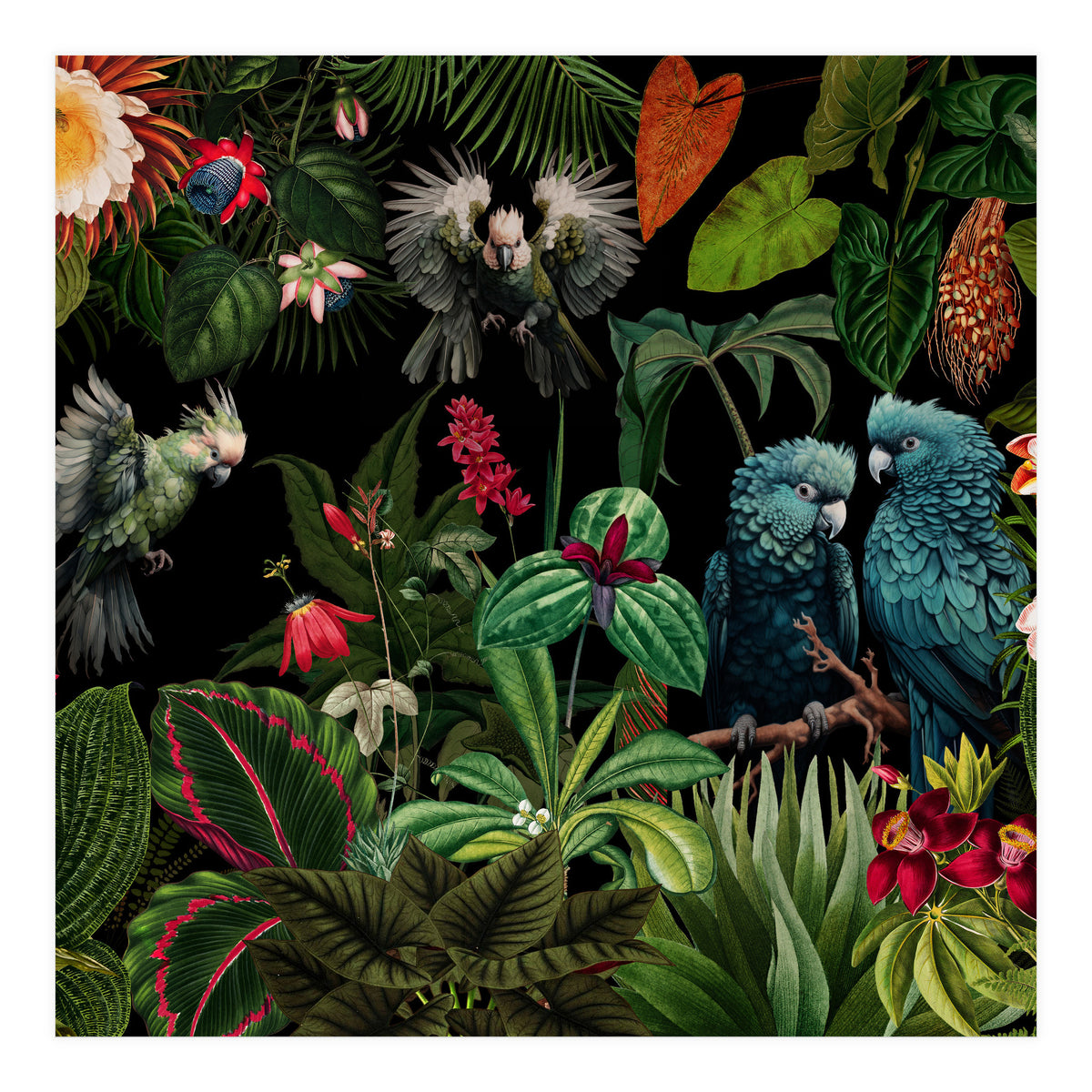 Moody Botanical Midnight Jungle Birds (Print Only)