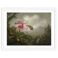 Martin Johnson Heade (Lumberville, 1819-St. Augustine, 1904). Orchid and Hummingbird near a Water...