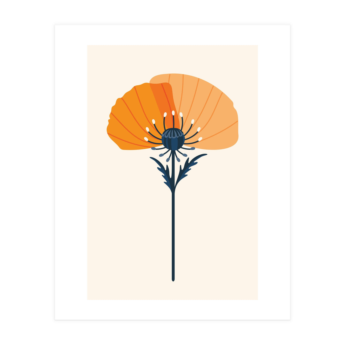 Orange Half Poppy (Print Only)