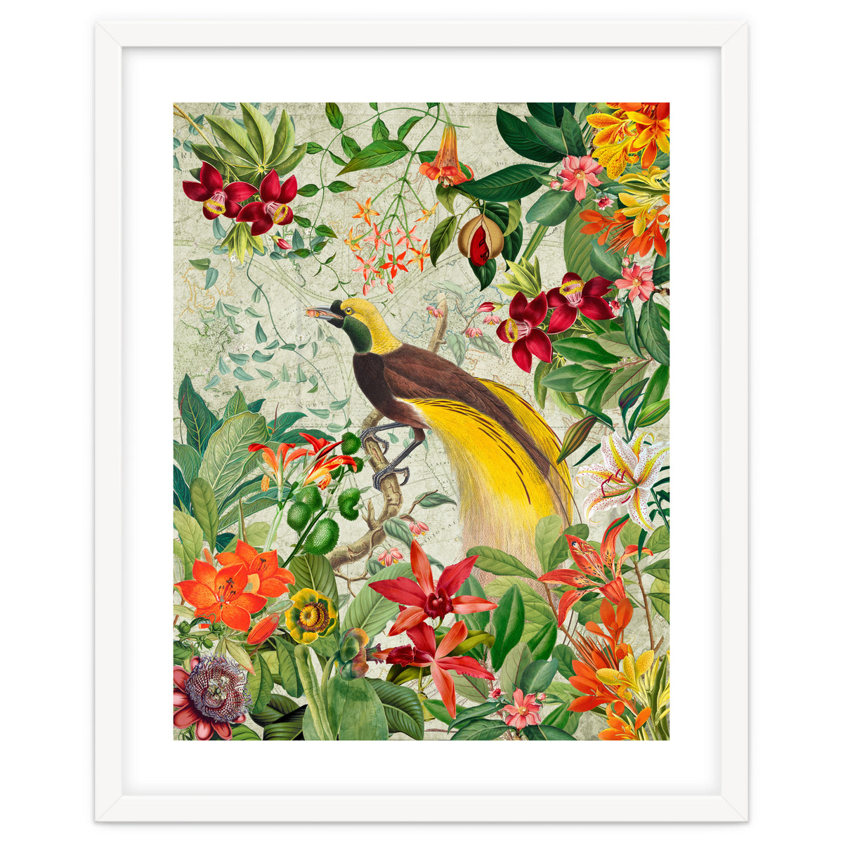 Bird of paradise vintage jungle