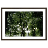 Light bulb among the trees in the summer forest thumbnail