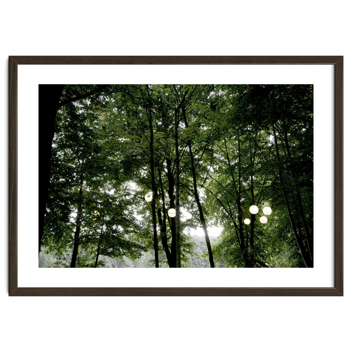Light bulb among the trees in the summer forest