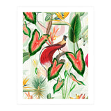 Vintage Bird Of Paradise in Jungle (Print Only) thumbnail
