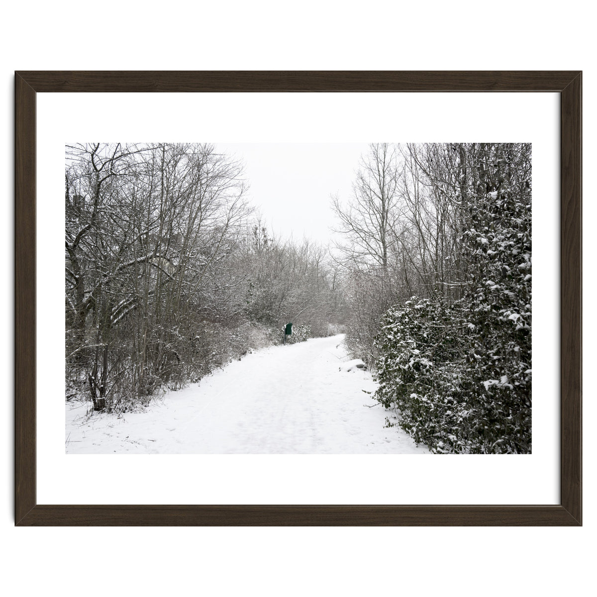 Walking through the snow park