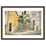 Lisbon Palm Tree thumbnail