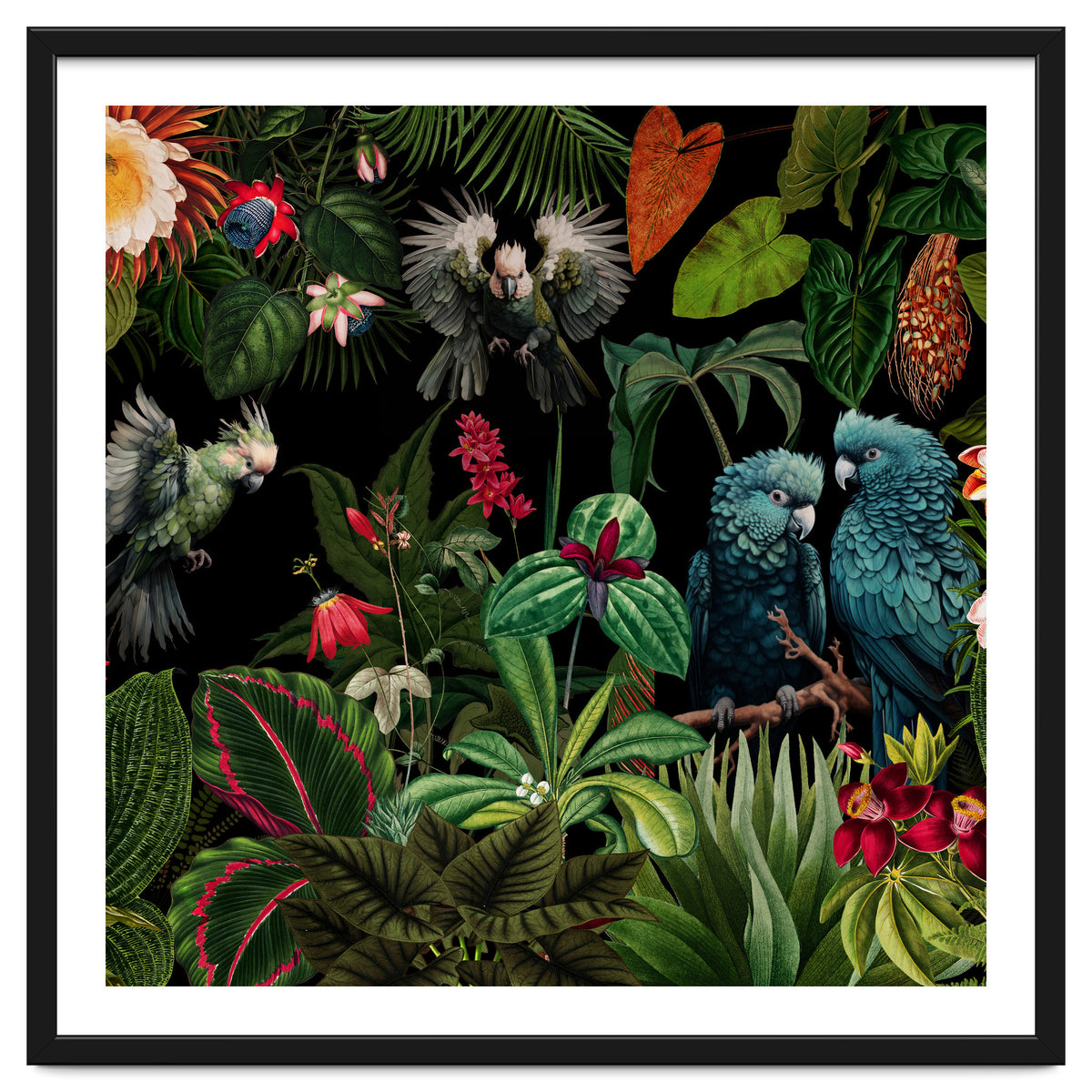 Moody Botanical Midnight Jungle Birds