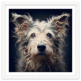 Old Dog 07 thumbnail