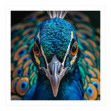 Majestic Peacock  (Print Only) thumbnail