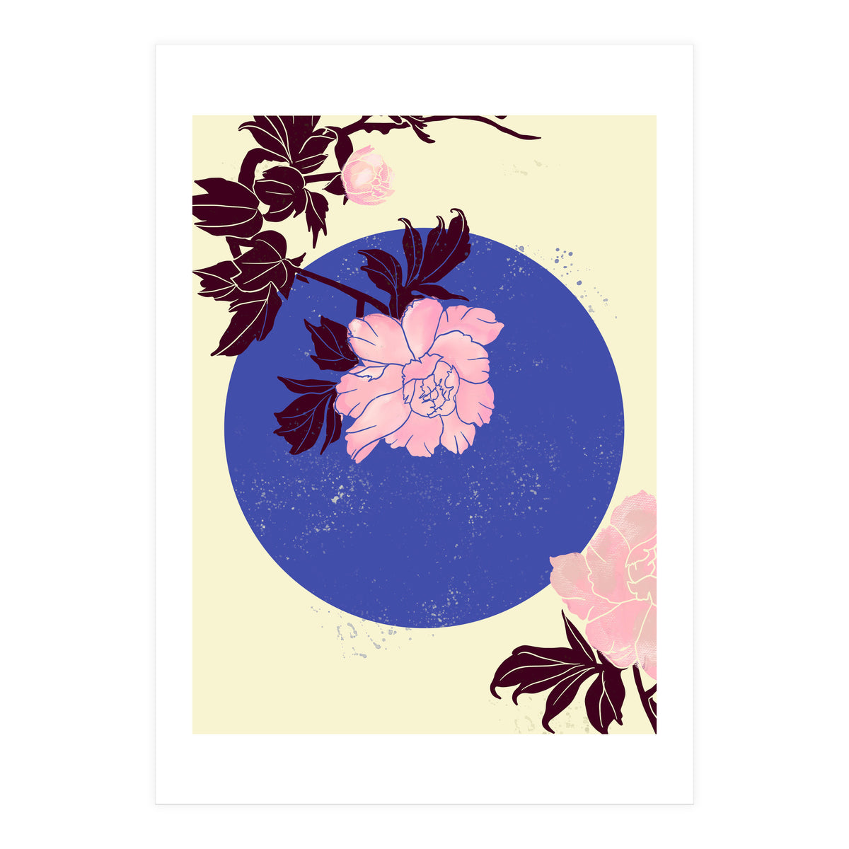 Peony (Print Only)