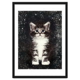 Bicolor Cute Kitten Portrait thumbnail