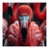 Close Up Flamingo Head With Bright Red Feathers (Print Only) thumbnail