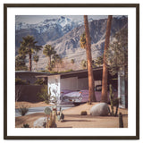 Palm Springs Pink II thumbnail