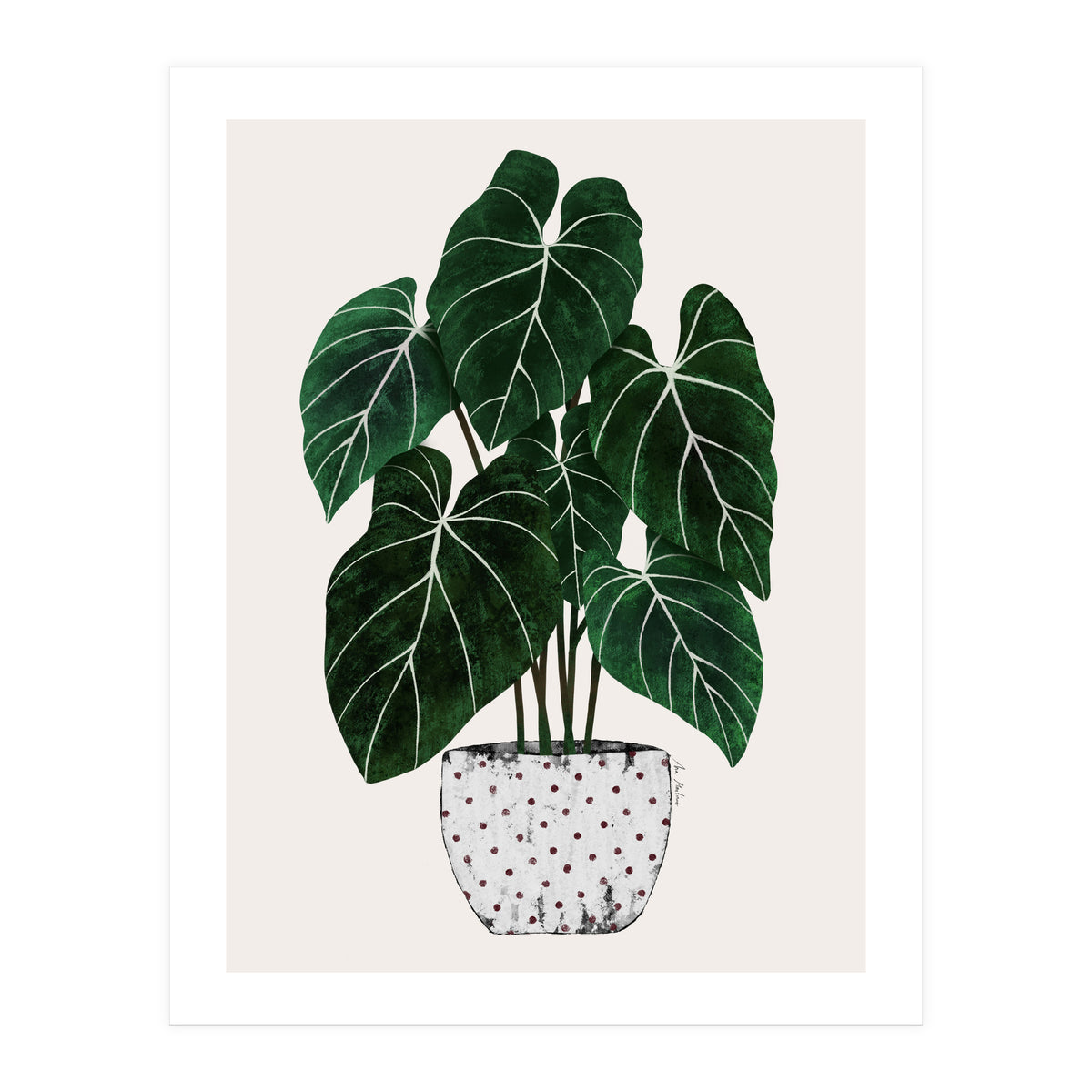 Philodendron Plant (Print Only)