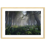 Art In The Forest thumbnail