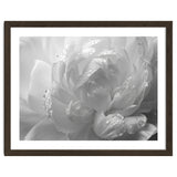 Ethereal Monochromatic Peony Petal Macro thumbnail