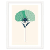 Teal Half Poppy thumbnail