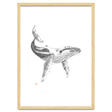 Whale thumbnail
