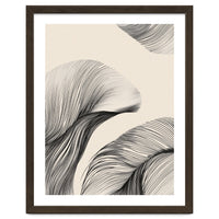 Black And White Flowing Lines Organic Shapes