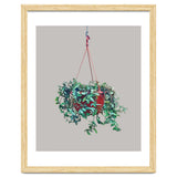 Hanging Plant thumbnail