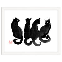 4 Black Cats