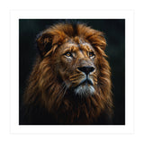 Majestic Lion Portrait In Gentle Rain (Print Only) thumbnail