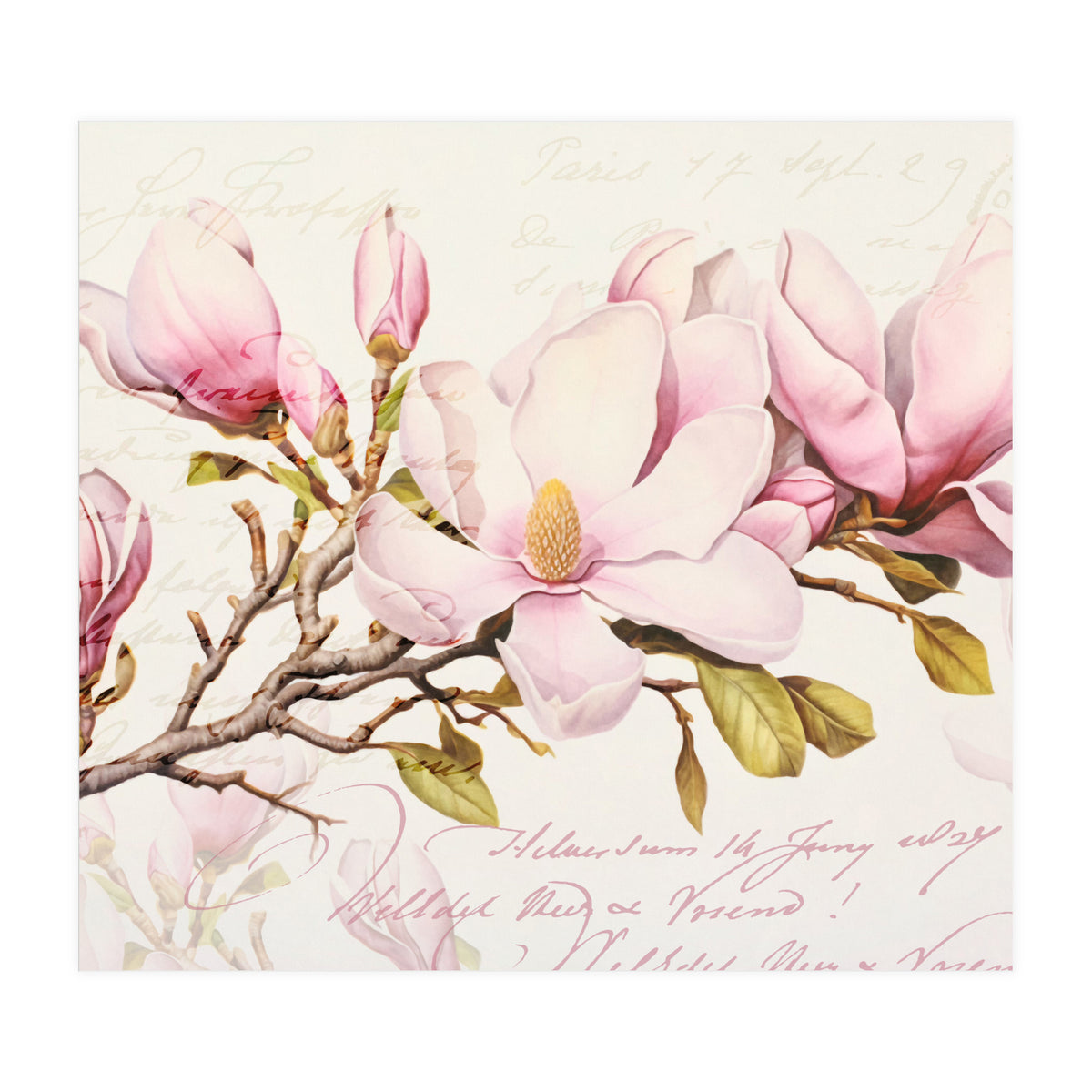 Magnolia Spring Romance Pink (Print Only)