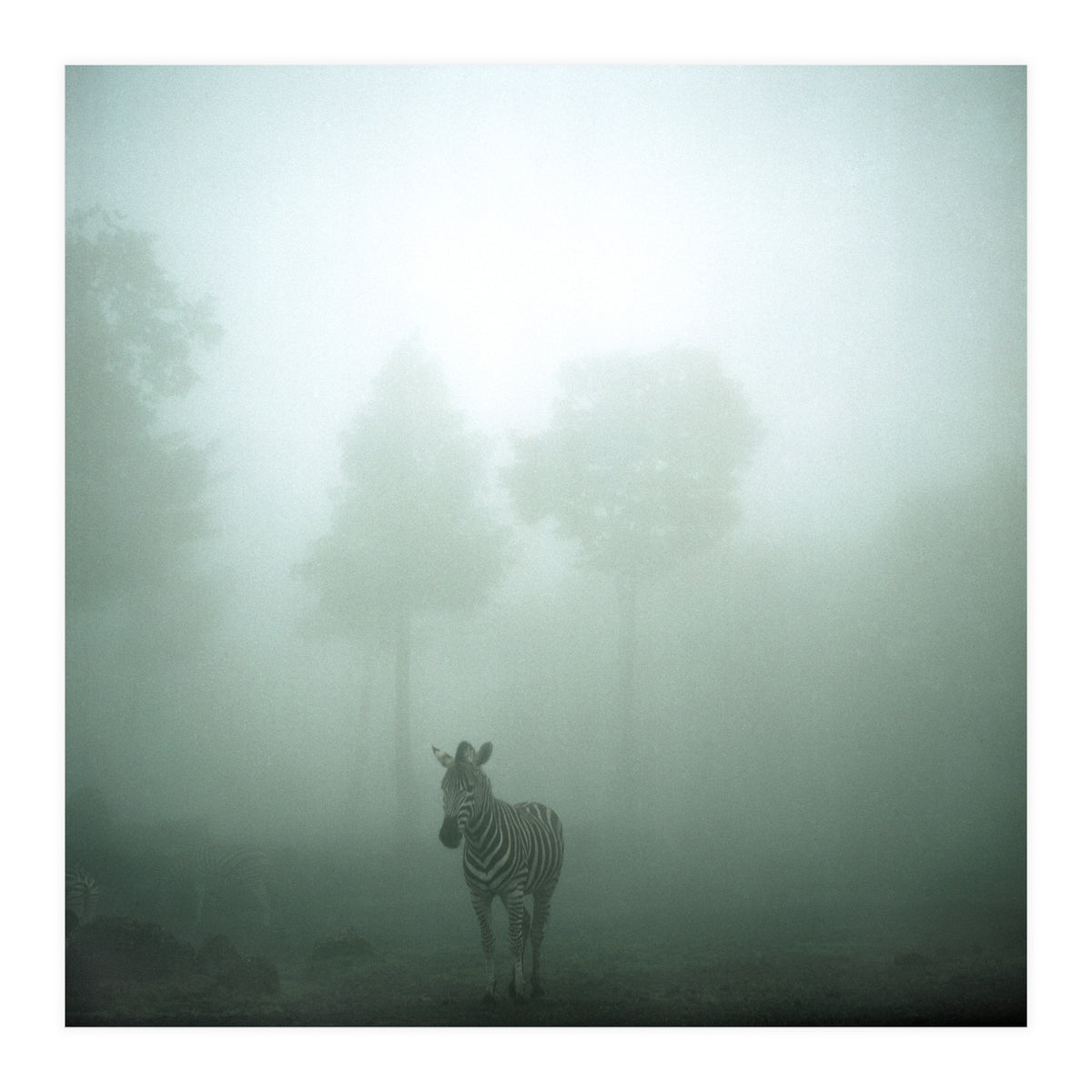 Silence of breath - 01 (Print Only)