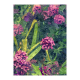 Aliyah (Print Only) thumbnail