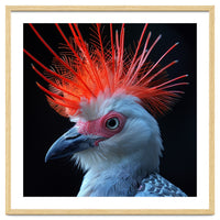 Secretary Bird