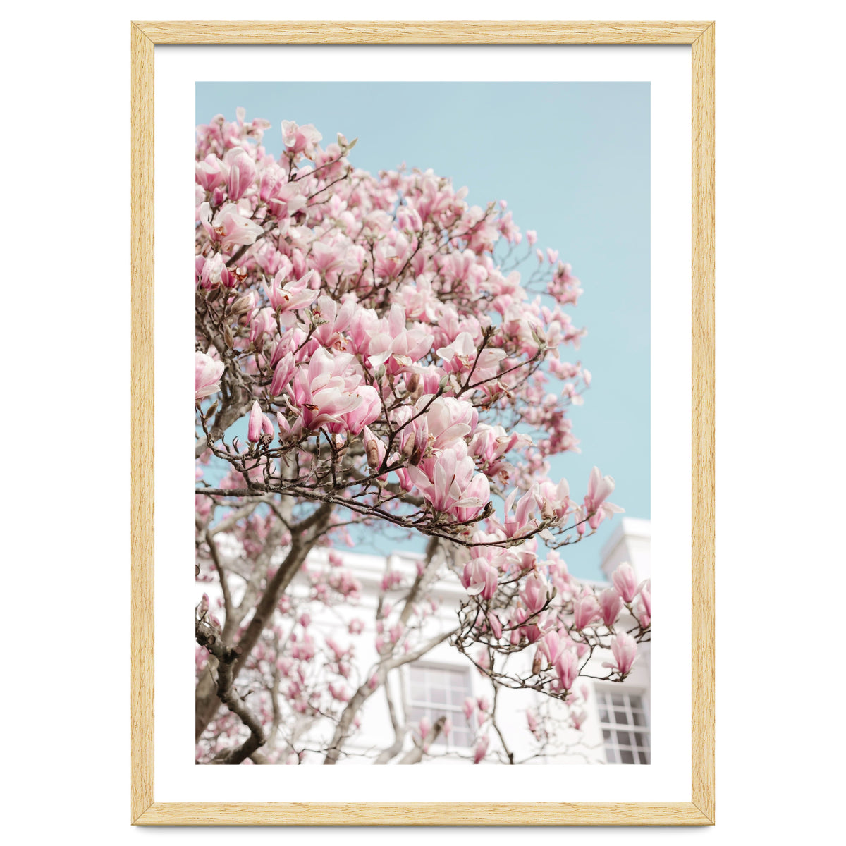 Spring Time