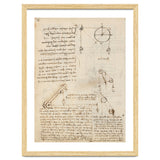 Folio f 172v. Codex Madrid I (Ms. 8937) 