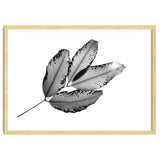 Branches and Leaves, 2016, 1 thumbnail